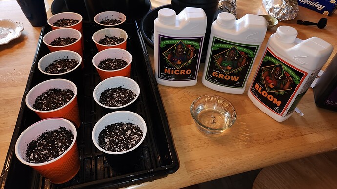 10 Cups and Nute line