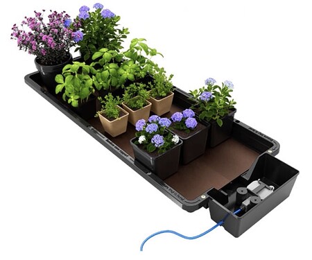 Tray2Grow photo