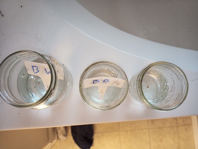 IMG_20210107_100943_932