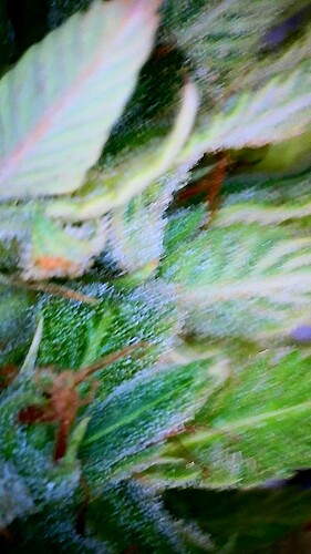 2023_10_28_17_45_57_703