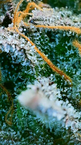 2022_12_19_15_07_16_892