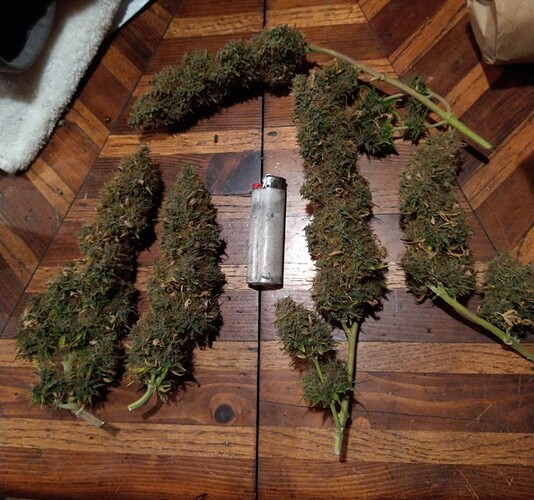 IMG_20220208_182458292~2