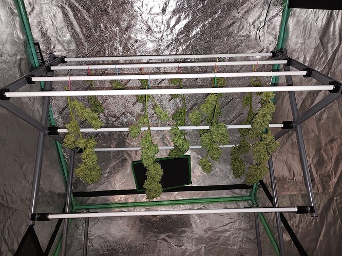 IMG_20240929_111811826