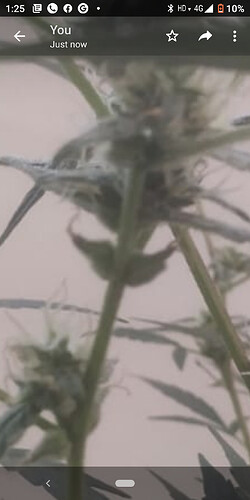 Screenshot_20201027-132559