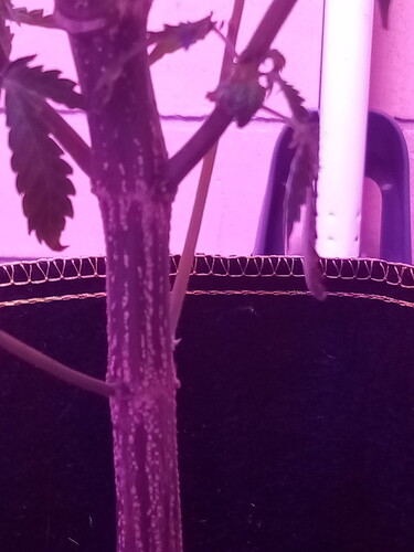 161019570647973659195698638260