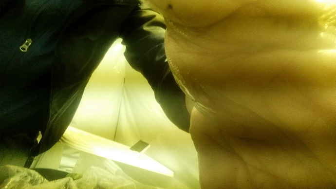 20191114_120354