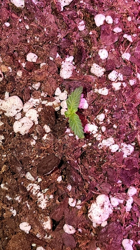 20191125_115016