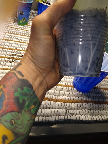 IMG_20220331_190227509