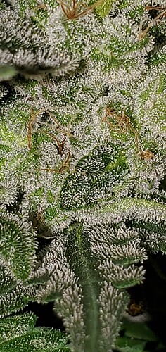 20220106_063438