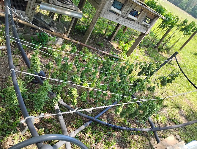 IMG_20250427_134919094_MP_015635