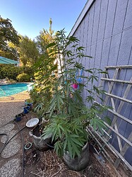 IMG_3244