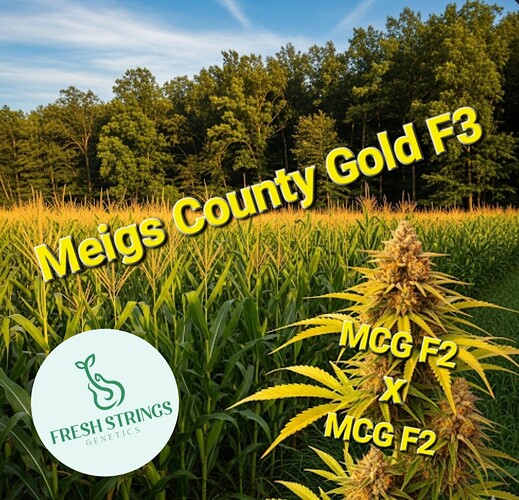 Screenshot_20250906_100752_Google