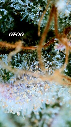 2024_05_21_19_31_55_984