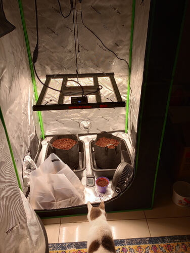 IMG_20251124_075829391_HDR