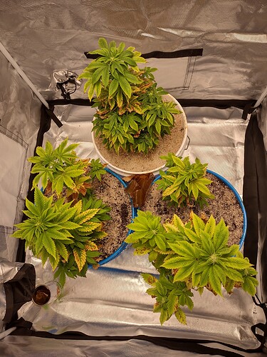IMG_20210318_162704889_HDR