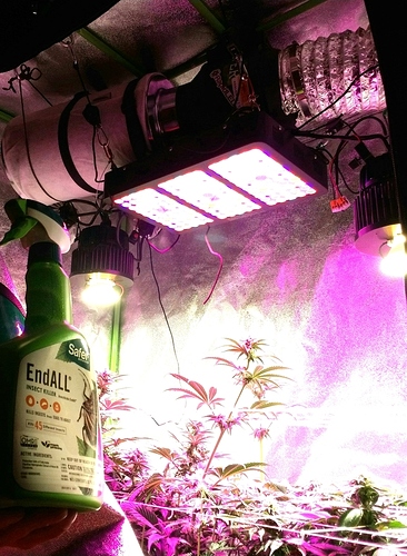 20200227_212306
