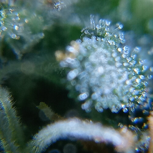 20210117_150208_HDR
