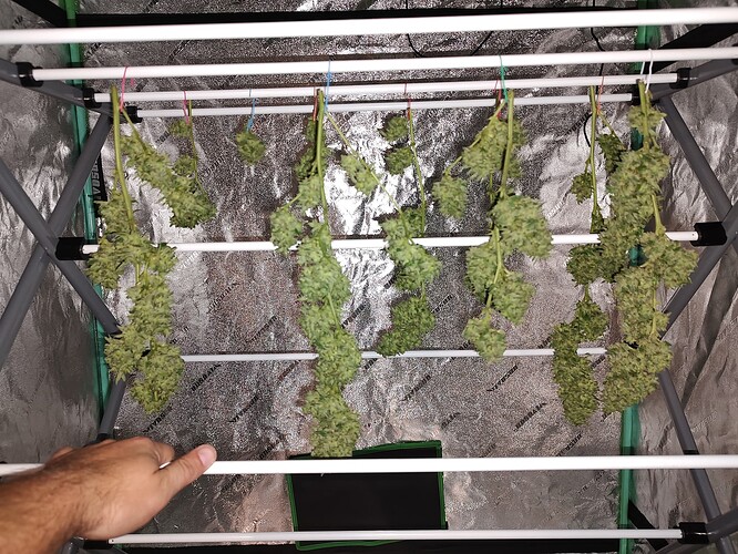 IMG_20240929_111824053