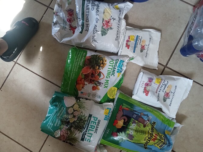 IMG_20250916_151203364