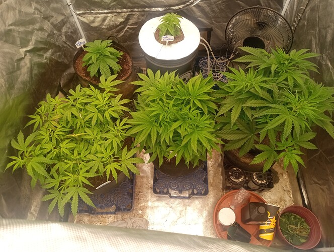 IMG_20251106_222832850