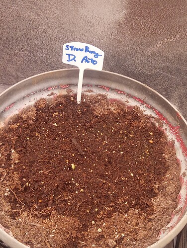 IMG_20251108_080155776