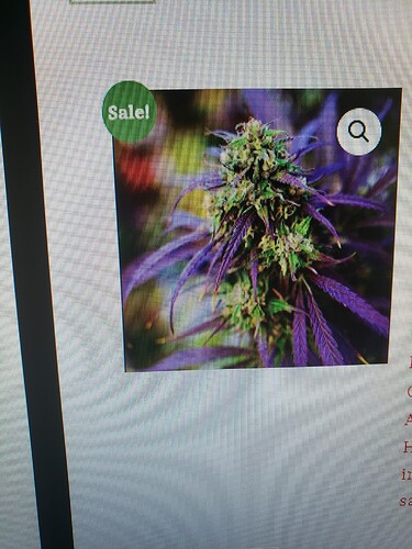 16040826692786823718631118016471