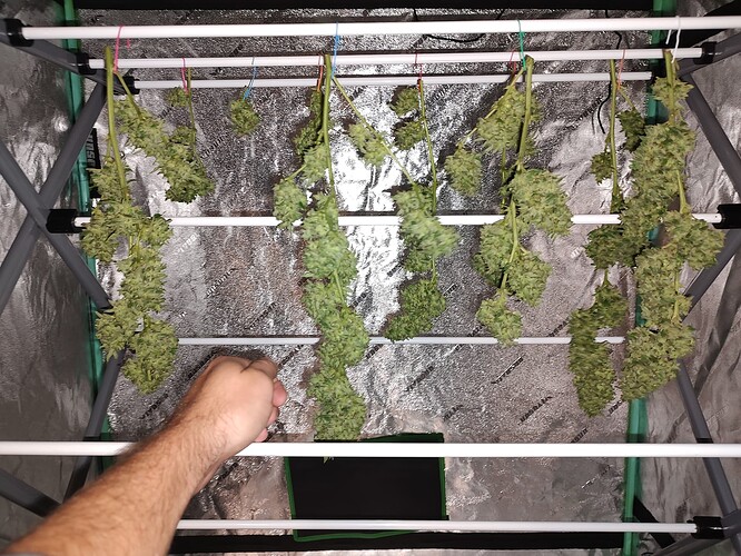 IMG_20240929_111829826