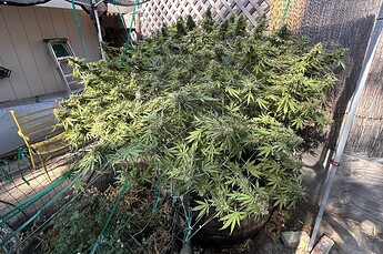 IMG_8067