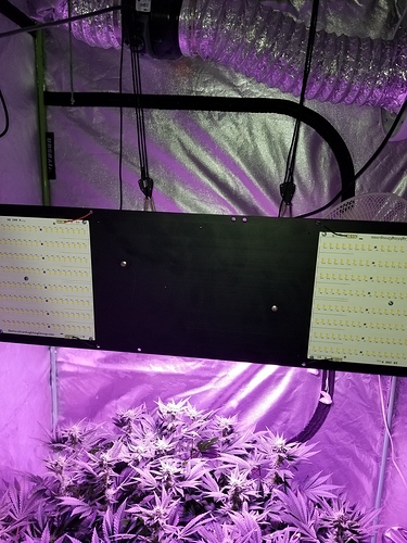 15882891807278498769990735144875