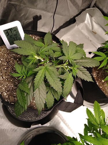 IMG_20220305_212728472