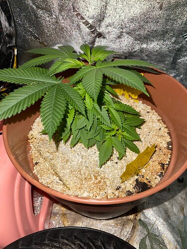 36A3E6FA-92A2-4162-A4C6-33B4223954B8