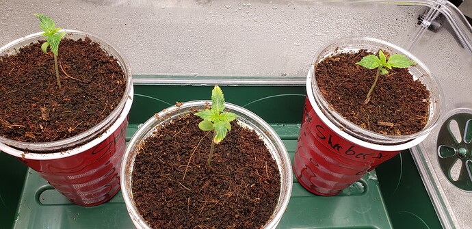 16609565978645692814453002314520