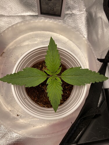 06CDFC26-1971-4512-B3A0-8BC4517EA414