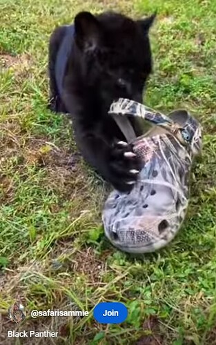 250930 Screenshot 2025-09-30 140656