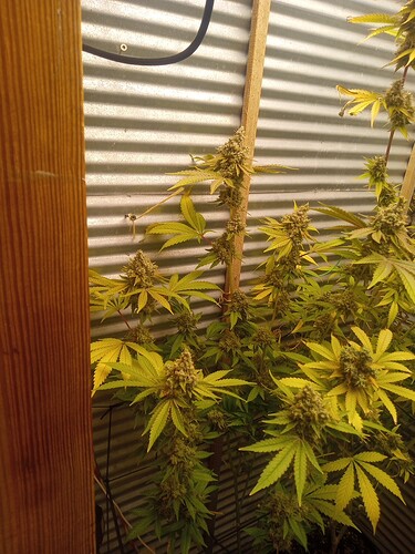 fdd2b13d-e6a1-4f7f-a7c4-3d2de25e7475