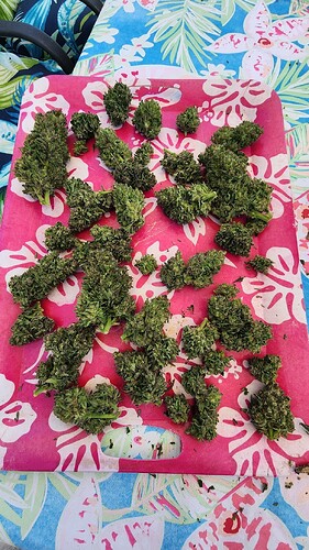 17502009707945538260053572581553