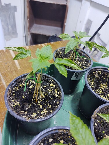 1622066640467602564800969075255