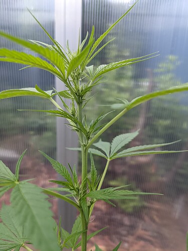 PXL_20220130_014028794