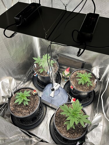 3-19-21 update
