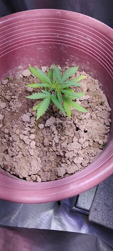IMG_20230926_212230.jpg