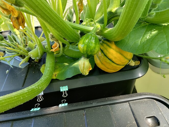 IMG_20250323_120241797_HDR