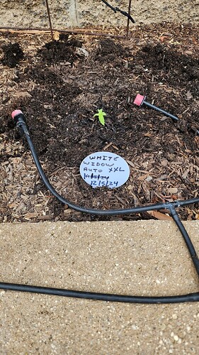 17502002484547421721026988917822