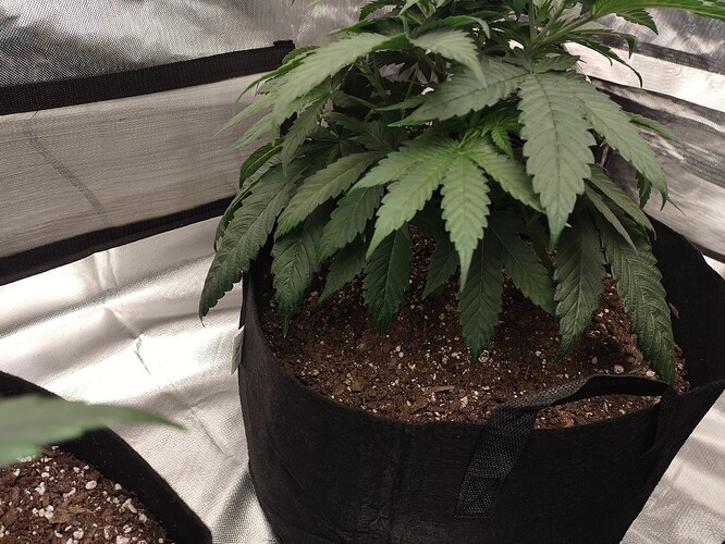 16240792511859210684232031388712