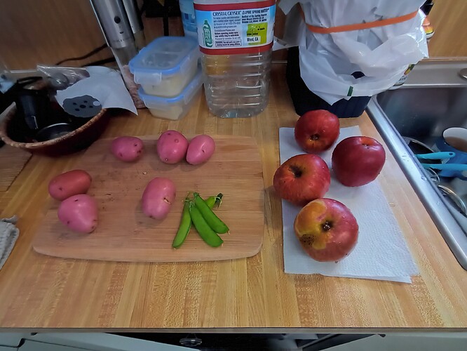 Harvested today1