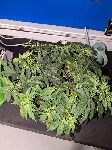 PXL_20220825_233750228