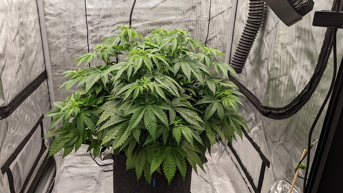 PXL_20240520_151915101