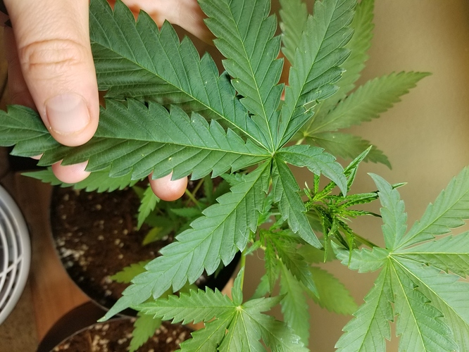 15912957970957053695712907327167