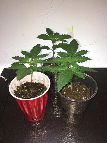 67696615-8924-4B3F-9883-968E474C1AE4