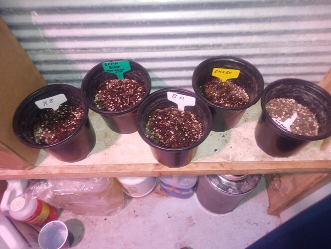 IMG_20250929_125415991