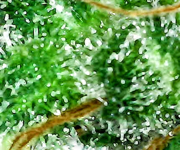 Photo_2024-10-09 16_20_52_261~2